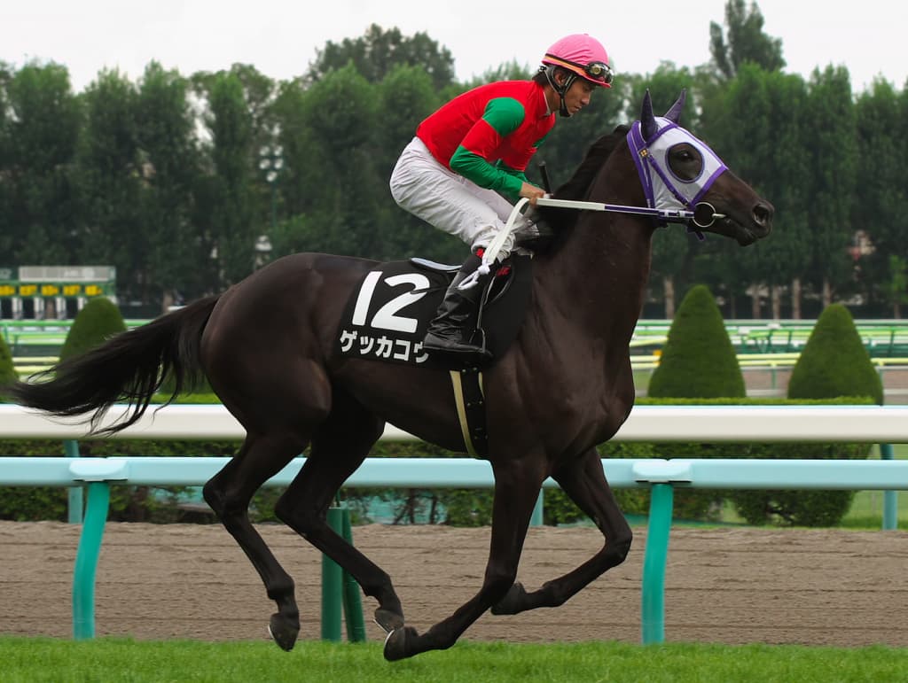 【愛知杯予想2018】ゲッカコウ、武器のロングスパートで重賞獲りへ