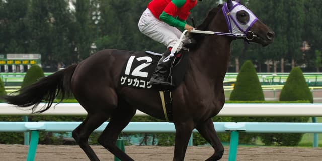 【愛知杯予想2018】ゲッカコウ、武器のロングスパートで重賞獲りへ