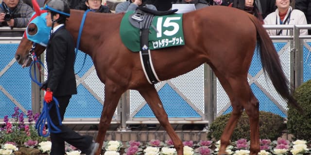 【日経新春杯2018予想】古豪復活なるか？大ベテランの意地に期待したい