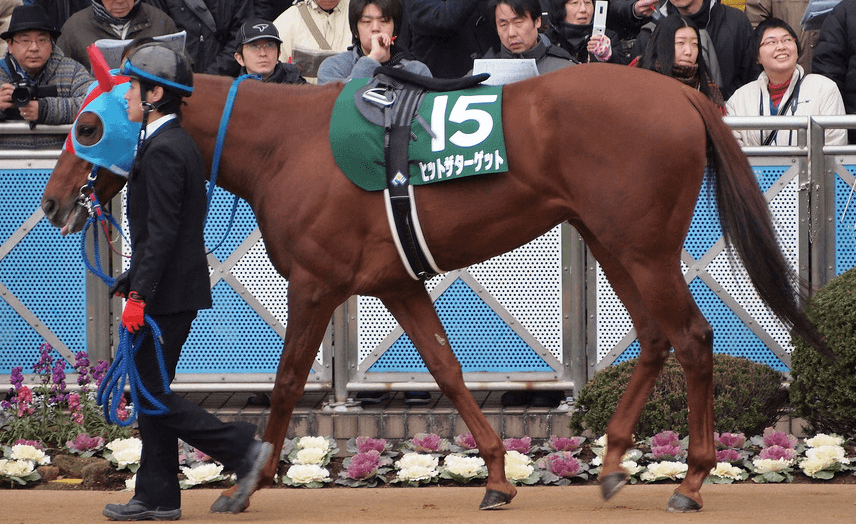 【日経新春杯2018予想】古豪復活なるか？大ベテランの意地に期待したい