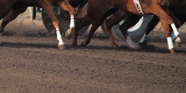 【BSN賞2018予想】ダートオープンのハンデ戦で素質馬たちが激突！