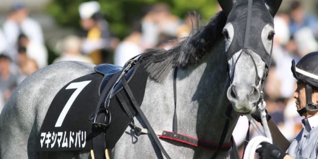 【愛知杯予想2018】昨年覇者のマキシマムドパリ、引退前にもうひと花咲かせるか？