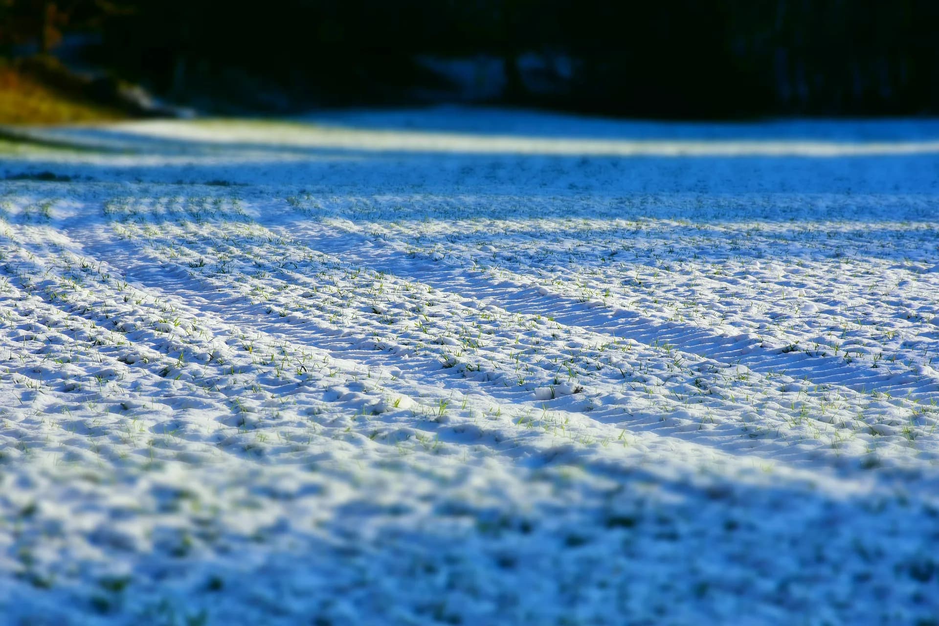 【地方競馬】船橋競馬は大雪のため第3、4競走の競走取り止め
