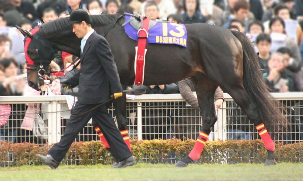 ヴァーミリアン種牡馬引退し乗馬へ