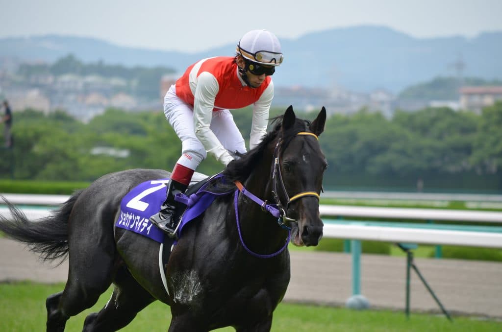 【共同通信杯2018予想】ゴーフォザサミット、府中で涙をのんだ父・兄の借りを返す！