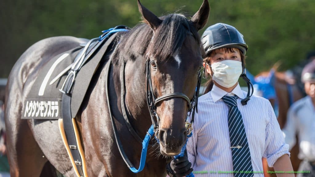 【ダイヤモンドS予想2018】コース、距離、ハンデ、三拍子そろった大穴馬とは