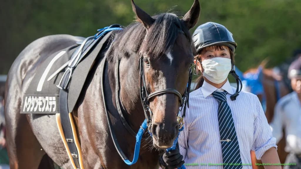 【ダイヤモンドS予想2018】コース、距離、ハンデ、三拍子そろった大穴馬とは