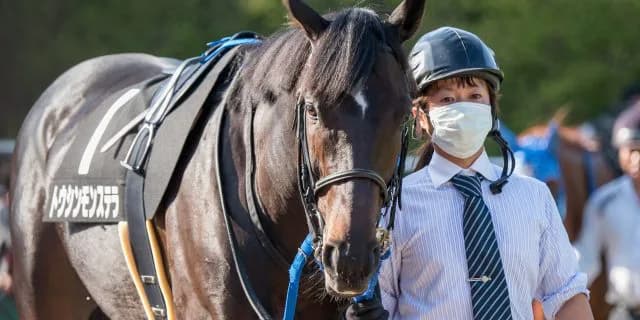 【ダイヤモンドS予想2018】コース、距離、ハンデ、三拍子そろった大穴馬とは