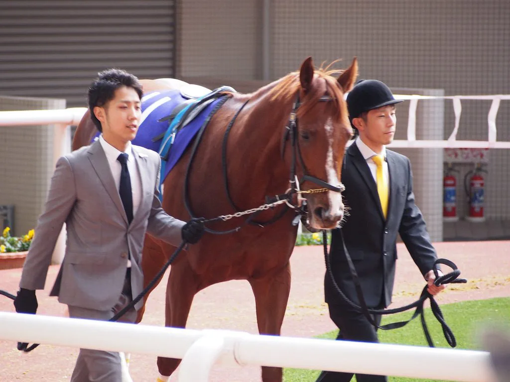エアスピネルは中山記念を回避、マイラーズCへ