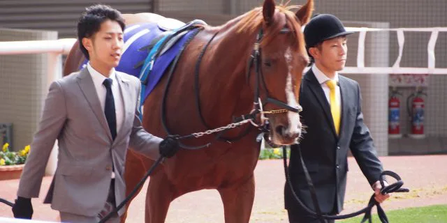 エアスピネルは中山記念を回避、マイラーズCへ