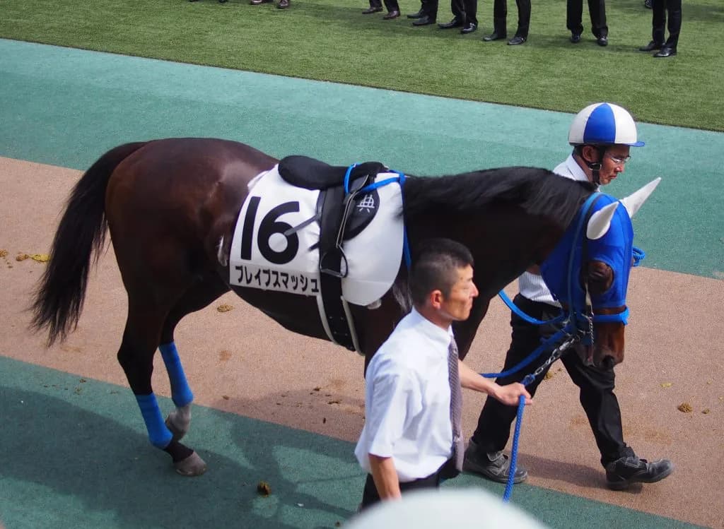 ブレイブスマッシュ、移籍先の豪州でG1勝利