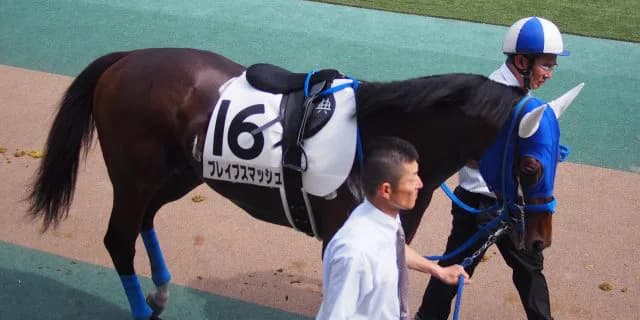 ブレイブスマッシュ、移籍先の豪州でG1勝利