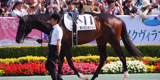 【中山記念予想2018】ミルコ✕ペルシアンナイト、本番前でも好勝負必須