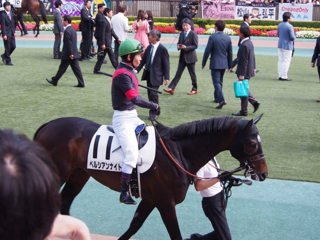 【中山記念2018予想】満を持してペルシアンナイト登場