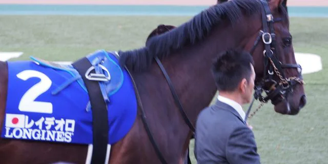 【京都記念2018予想】レイデオロ始動、“初の京都”と“乗り替わり”を克服できるか？