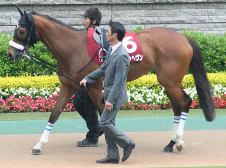 【注目新馬】オークス馬もダービー馬から？戸田厩舎から大物牝馬候補デビュー