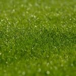 JRA秋華賞（2021）当日の馬場は？馬場傾向を距離別データで分析・予想