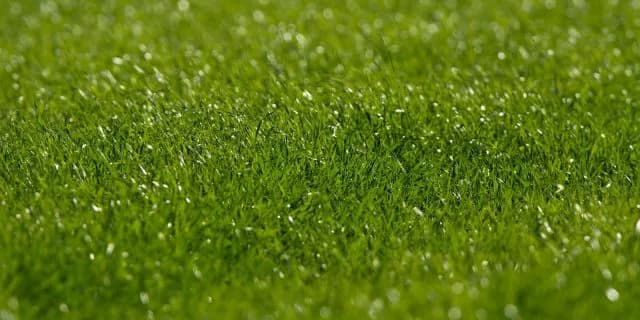 【小倉記念2019予想】小倉の馬場傾向は？先週の芝レースの脚質別・枠順別成績