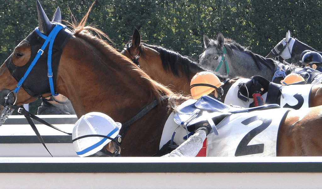 【チューリップ賞予想2018】序列が決まり出す注目の一戦