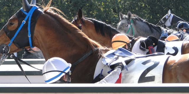 【チューリップ賞予想2018】序列が決まり出す注目の一戦