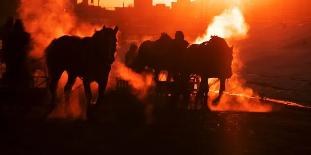 【オーシャンS予想2018】有力馬の取捨は？4頭の有力馬を考察