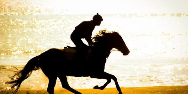 【アルゼンチン共和国杯2018予想】ノーブルマーズ✕高倉騎手コンビが混戦を断つか