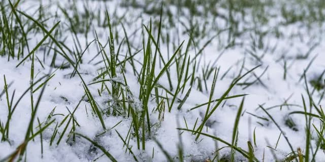 【東京新聞杯2018予想】今週も大雪？稍重以上で注目しておきたい3頭