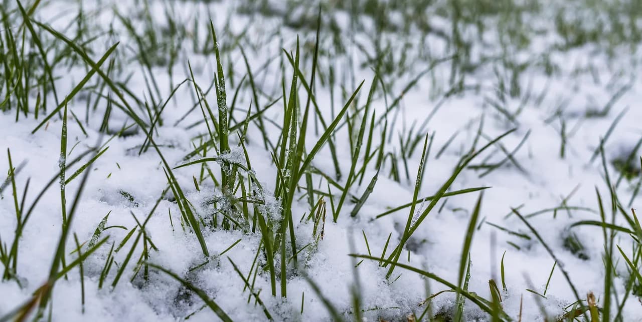 【東京新聞杯2018予想】今週も大雪？稍重以上で注目しておきたい3頭