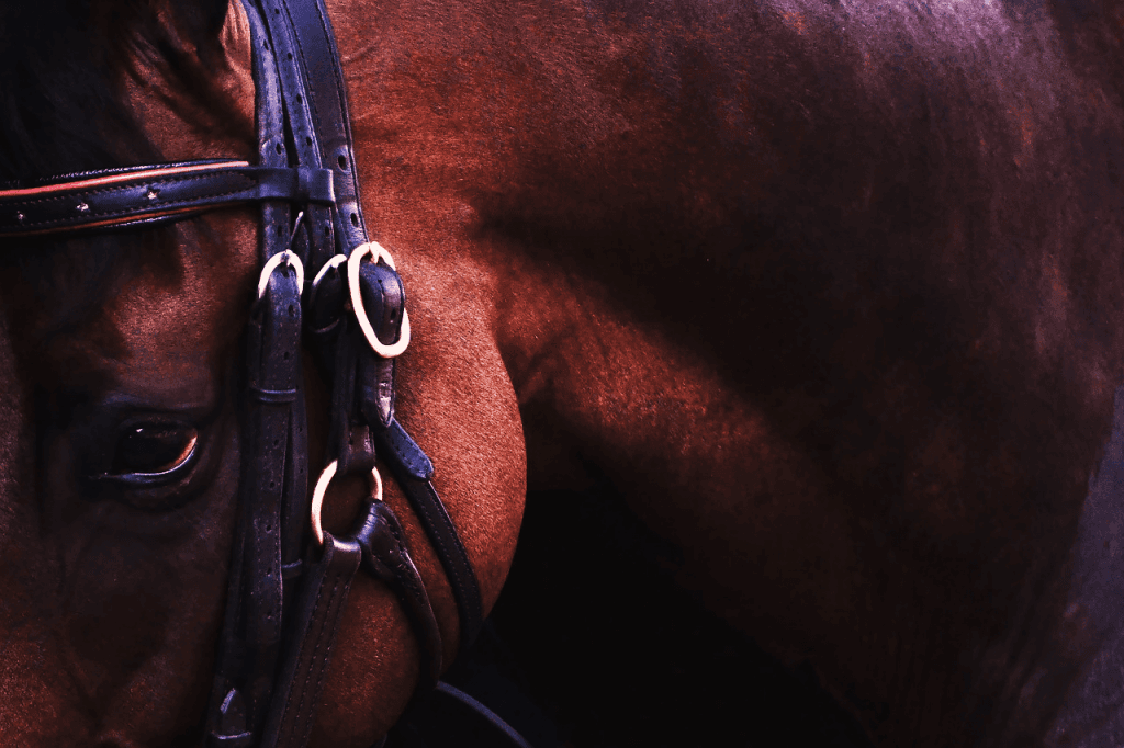 【フェブラリーS予想2018】テイエムジンソクが抱える3つの不安材料とは？