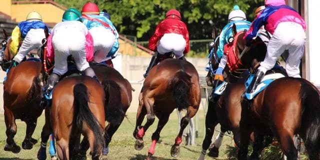 【天皇賞秋2021】今年は断然“3強”ムード！勝つのは誰だ？