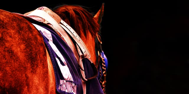 【天皇賞春2018予想】藤岡佑介騎手じゃなきゃダメ？！頑固なガンコが春の天皇賞馬へ！