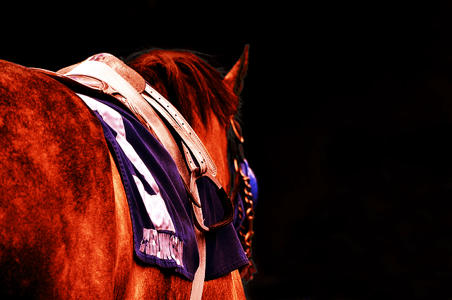 【天皇賞春2018予想】藤岡佑介騎手じゃなきゃダメ？！頑固なガンコが春の天皇賞馬へ！