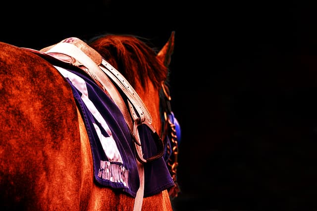 【天皇賞春2018予想】藤岡佑介騎手じゃなきゃダメ？！頑固なガンコが春の天皇賞馬へ！