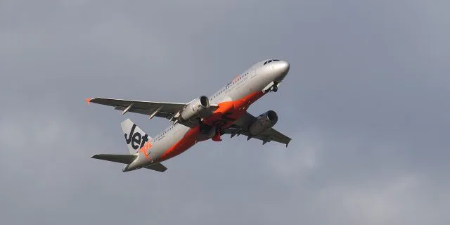 チームノースヒルズ、世界を見据え欧米の超一流種牡馬との配合へ