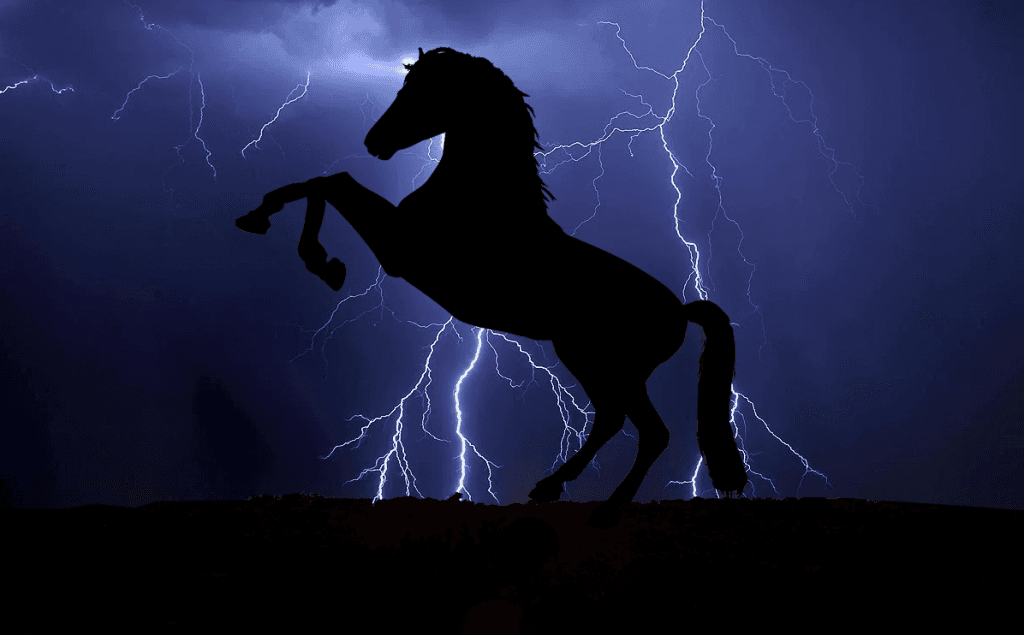 【クイーンC予想2018】テトラドラクマ、鞍上強化＆東京替わりで巻き返しに燃える