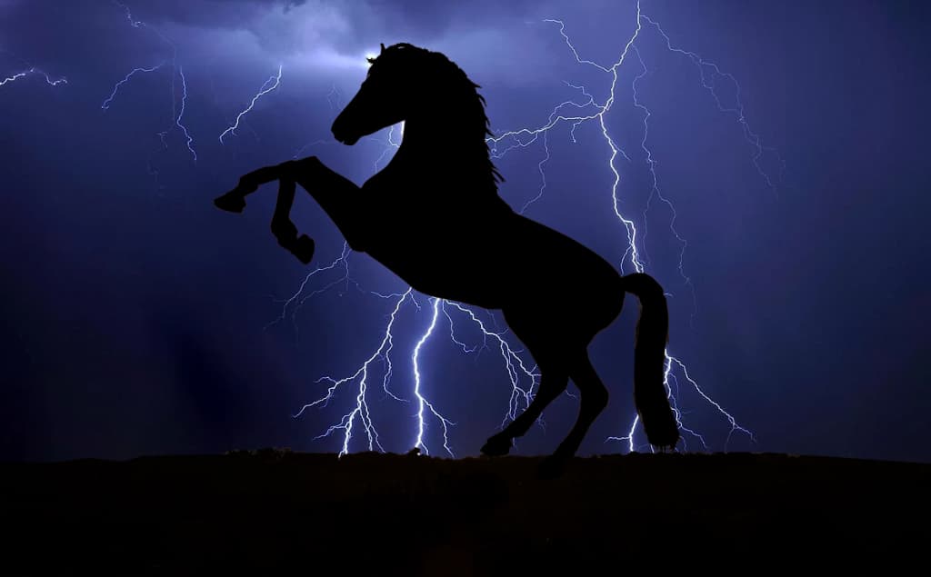 【クイーンC予想2018】テトラドラクマ、鞍上強化＆東京替わりで巻き返しに燃える