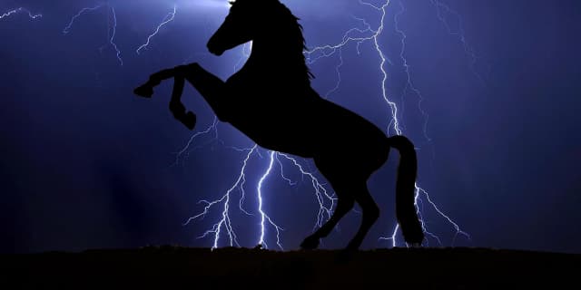 【クイーンC予想2018】テトラドラクマ、鞍上強化＆東京替わりで巻き返しに燃える