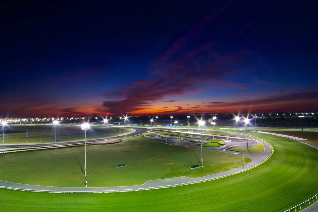 【ドバイターフ2024予想】強豪ロードノースの4連覇阻止へ、ドウデュース筆頭に日本勢4頭出し