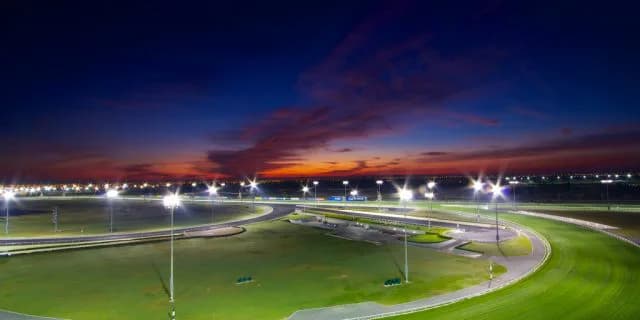 【ドバイターフ2024予想】強豪ロードノースの4連覇阻止へ、ドウデュース筆頭に日本勢4頭出し