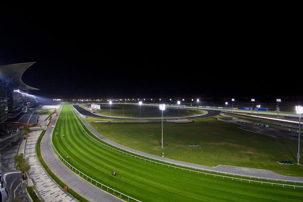 【ドバイターフ2022予想】ヴァンドギャルド、再度の激走に期待!