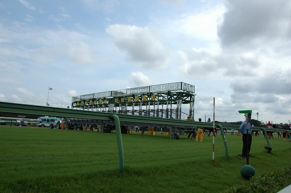 【スプリングS予想2018】一瞬の末脚は中山向き！カフジバンガード、皐月賞への切符を手中に！