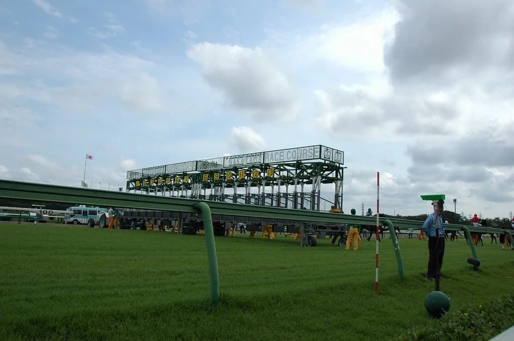 【スプリンターズS予想2018】重馬場、距離、中山も問題なしのキャンベルジュニアに激走期待