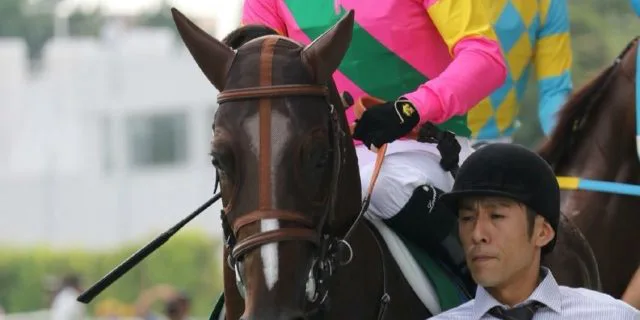 【金鯱賞2018予想】叩き2戦目ダッシングブレイズ準備万端！