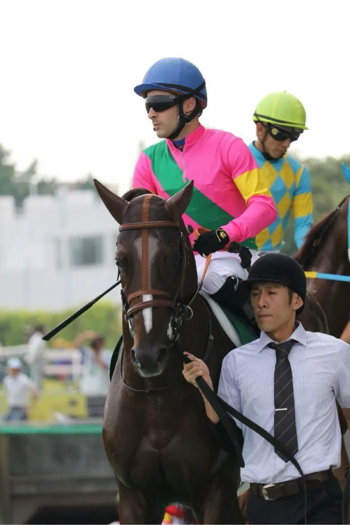 【金鯱賞2018予想】叩き2戦目ダッシングブレイズ準備万端！