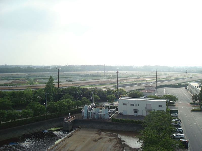 美浦トレセン大規模改修へ、東西格差縮まるか？