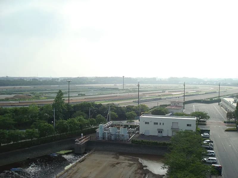 【宝塚記念予想2018】1週前追い切り情報と評価