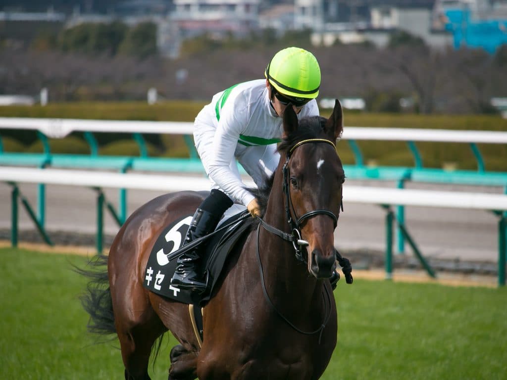 キセキ、有馬記念で引退。種牡馬へ