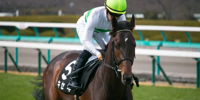 【凱旋門賞2019予想】日本馬キセキ、“奇跡”おこせるか