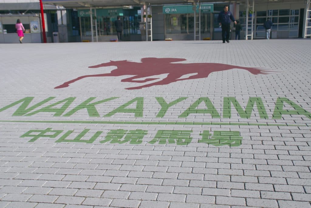 【オーシャンS予想2018】初の中山でも勝ち負け可能、ビップライブリーに注目