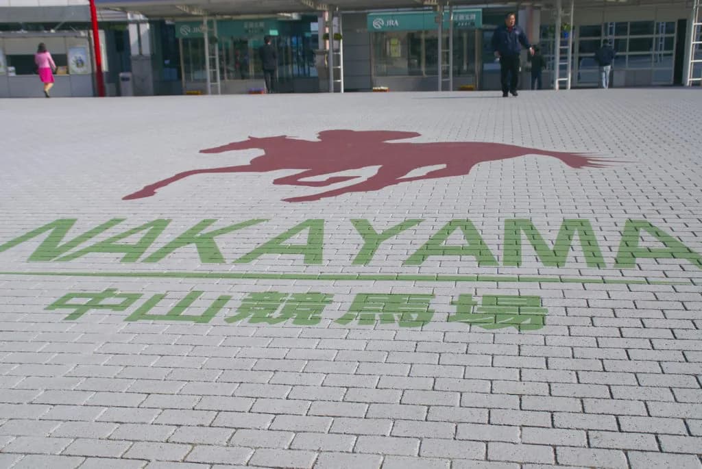 【マーチS予想2018】中山実績抜群のロワジャルダン